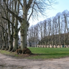 Slideshow öffnen