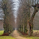 Slideshow öffnen